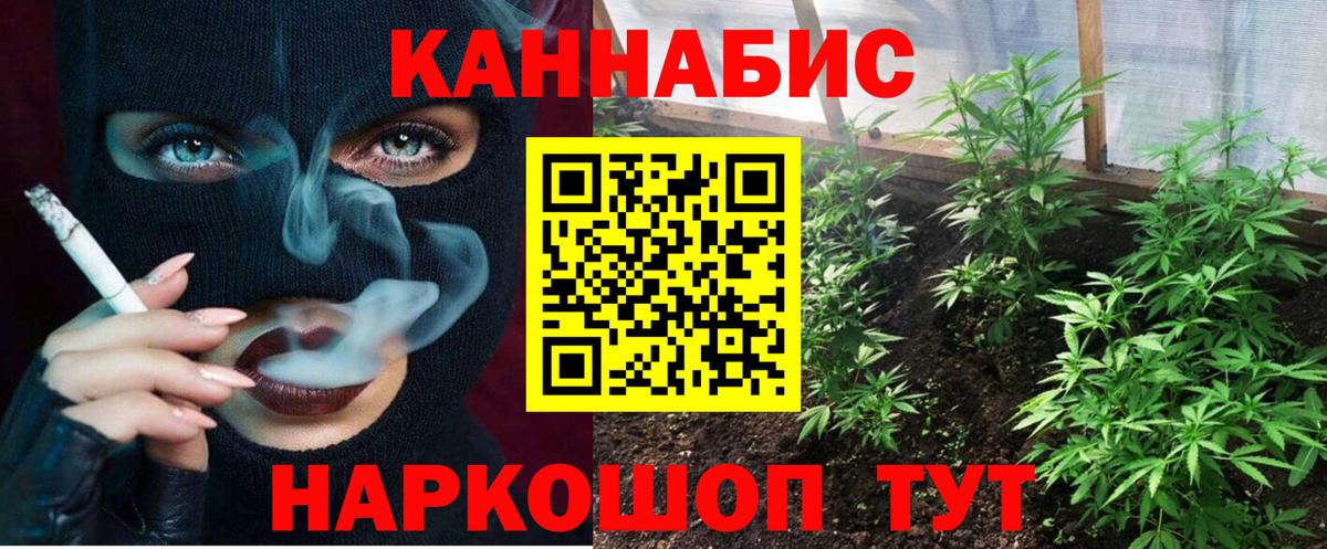 Бошки Шишки Amnesia Баксан